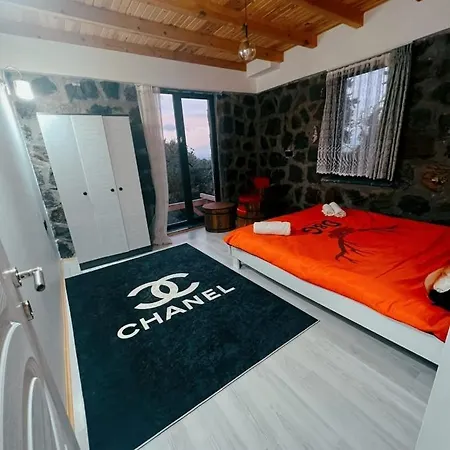 Villa Sapanca Tas Konak *